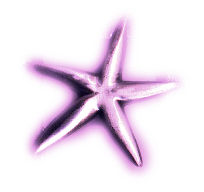 PINK STAR